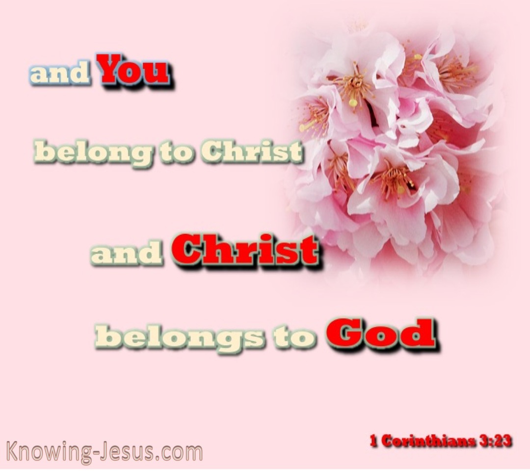 1 Corinthians 3:23 You Belong To Christ (red)